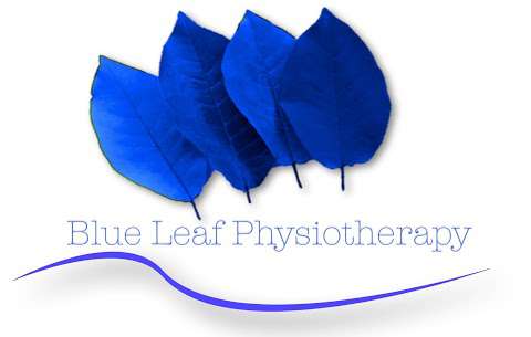 Blue Leaf Physiotherapy photo