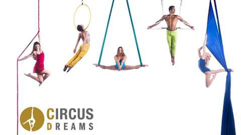 Circus Dreams Entertainment Agency and School of Aerial and Acrobatic Arts photo