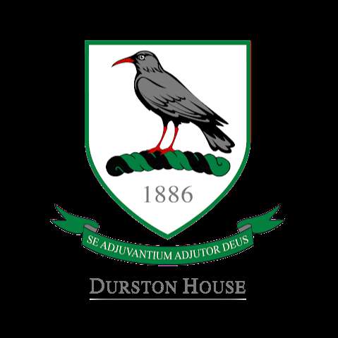 Durston House - Castlebar Playing Field photo