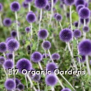 E17 Organic Gardening photo