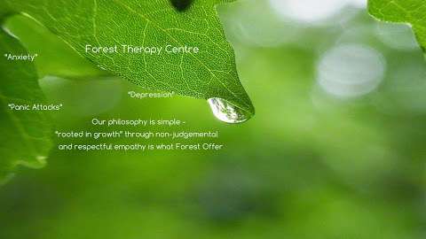 Forest Therapy Centre photo