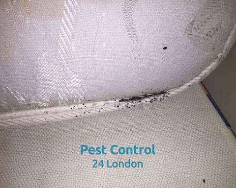 Northolt Pest Control Specialists photo