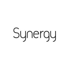 Synergy Art photo